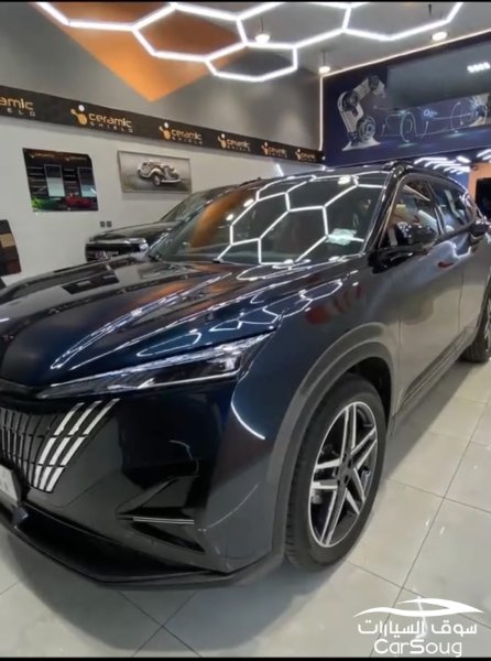 دوينغ فينغ ميج التيميت 2025