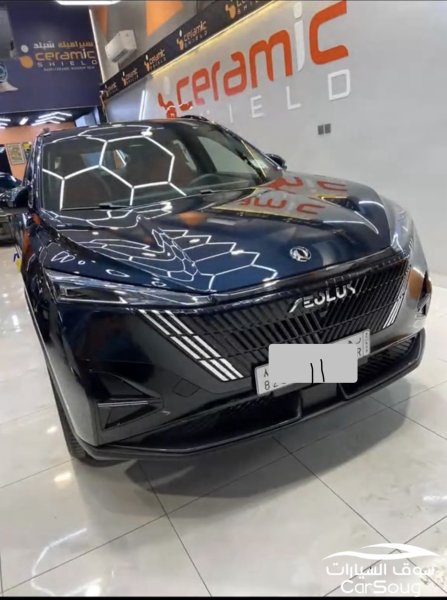 دوينغ فينغ ميج التيميت 2025